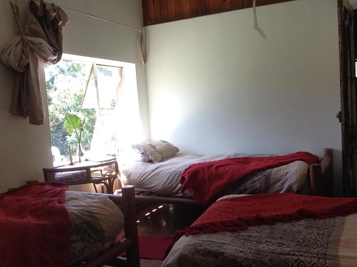 Dijembe Backpackers Lodge Stormsrivier Eksteriør billede