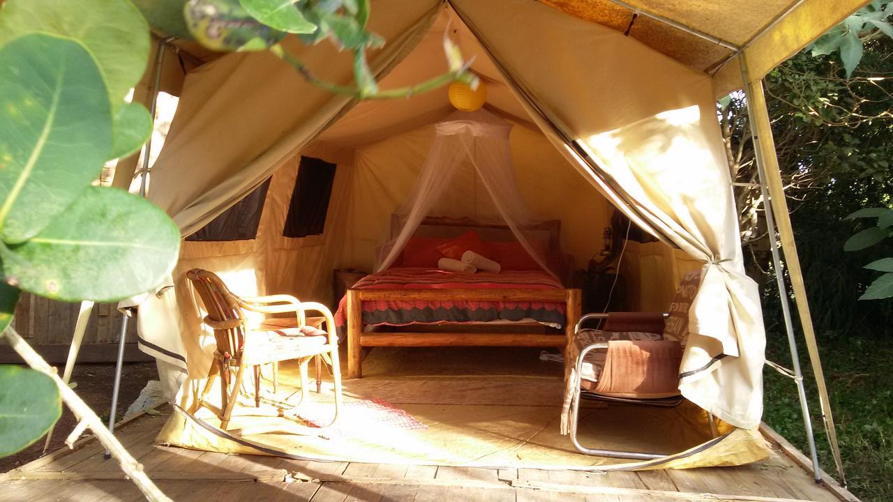 Dijembe Backpackers Lodge Stormsrivier Eksteriør billede