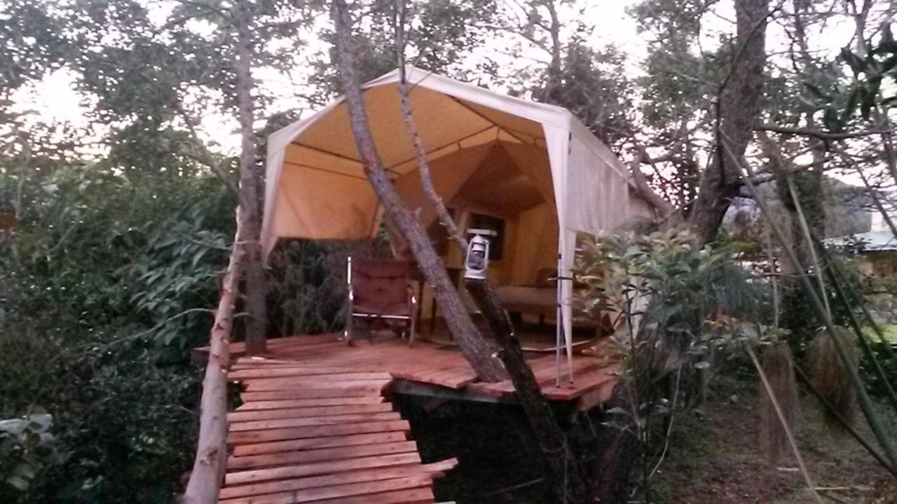 Dijembe Backpackers Lodge Stormsrivier Eksteriør billede