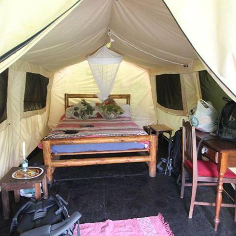 Dijembe Backpackers Lodge Stormsrivier Eksteriør billede