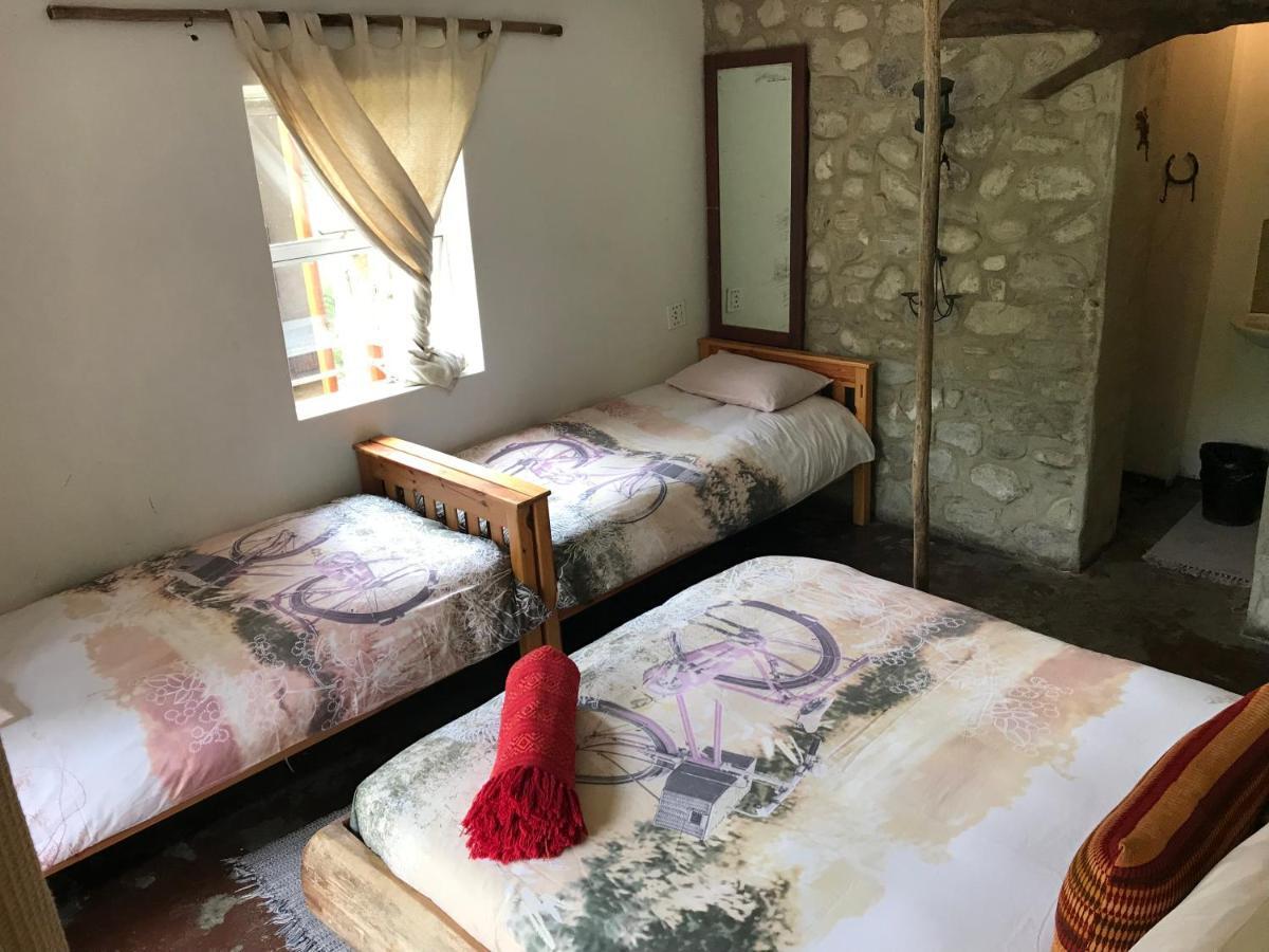 Dijembe Backpackers Lodge Stormsrivier Eksteriør billede