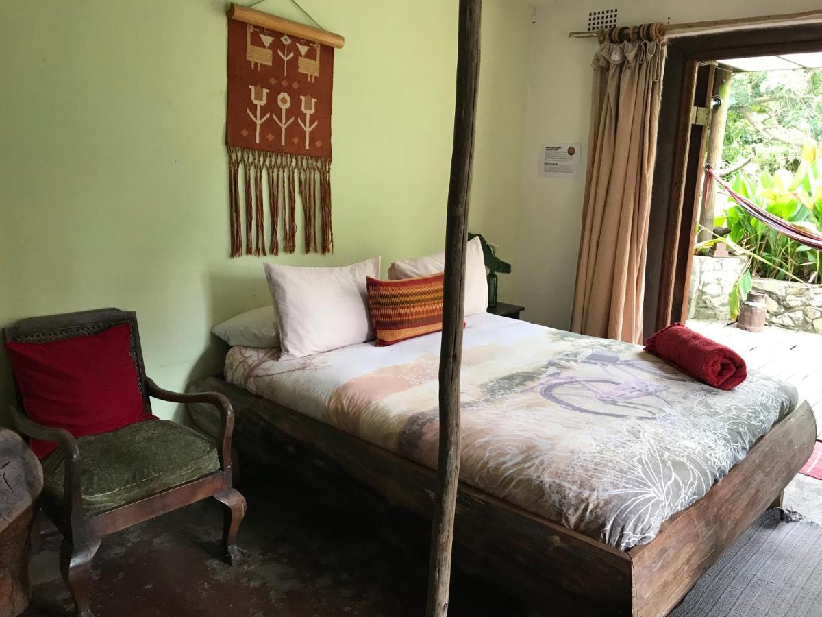 Dijembe Backpackers Lodge Stormsrivier Eksteriør billede